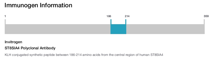ST8SIA4 Polyclonal Antibody
