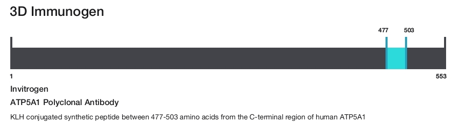 ATP5A1 Polyclonal Antibody