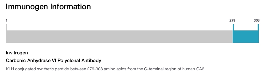 Carbonic Anhydrase VI Polyclonal Antibody