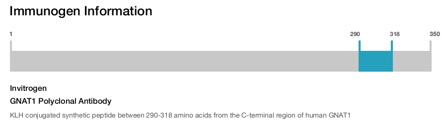 GNAT1 Polyclonal Antibody