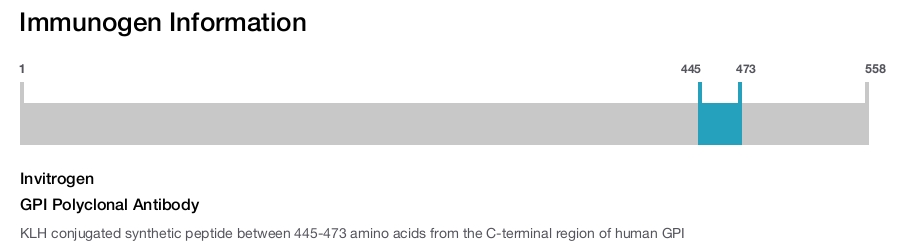 GPI Polyclonal Antibody