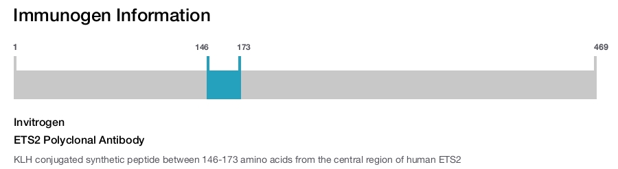 ETS2 Polyclonal Antibody