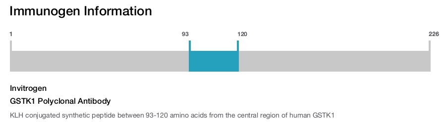 GSTK1 Polyclonal Antibody
