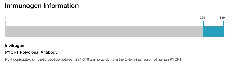 PYCR1 Polyclonal Antibody