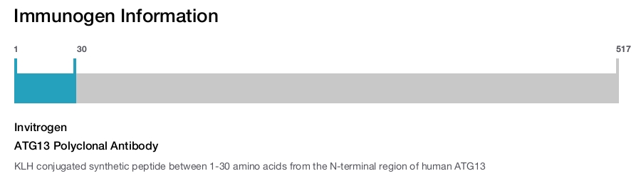 ATG13 Polyclonal Antibody