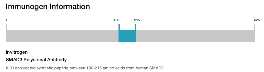 SMAD3 Polyclonal Antibody