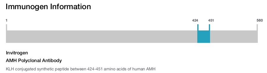AMH Polyclonal Antibody