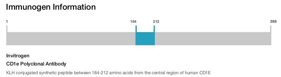 CD1e Polyclonal Antibody