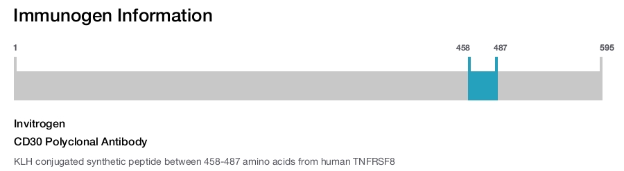 CD30 Polyclonal Antibody