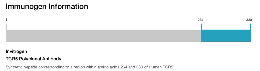 TGR5 Polyclonal Antibody