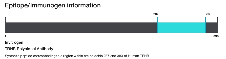 TRHR Polyclonal Antibody
