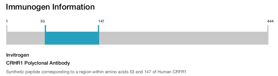 CRHR1 Polyclonal Antibody