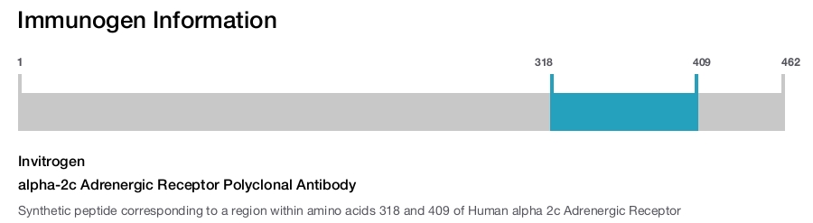 alpha-2c Adrenergic Receptor Polyclonal Antibody