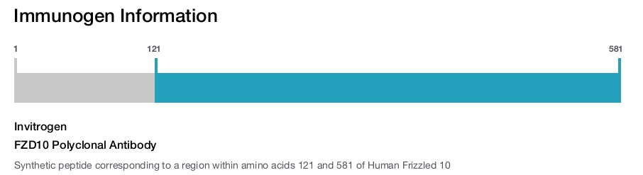 FZD10 Polyclonal Antibody