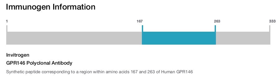 GPR146 Polyclonal Antibody