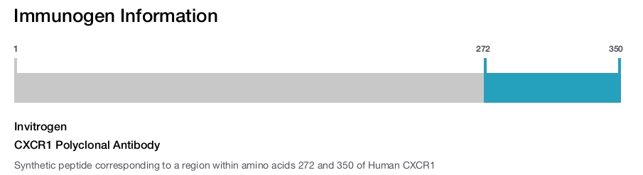 CXCR1 Polyclonal Antibody