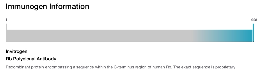 Rb Polyclonal Antibody