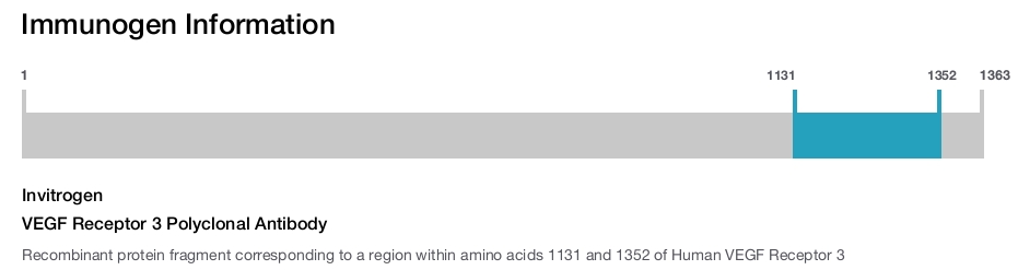 VEGF Receptor 3 Polyclonal Antibody