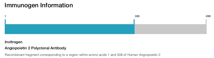 Angiopoietin 2 Polyclonal Antibody