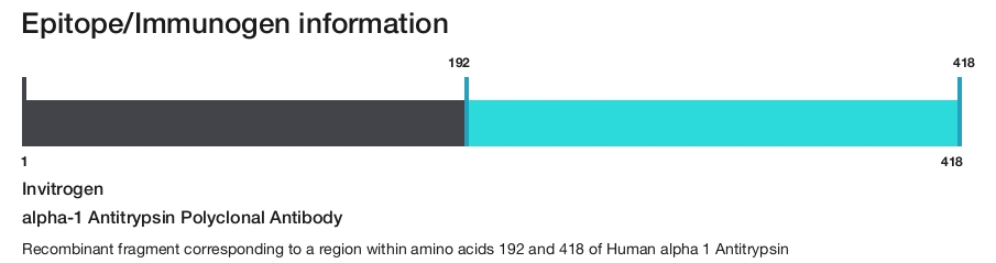 alpha-1 Antitrypsin Polyclonal Antibody
