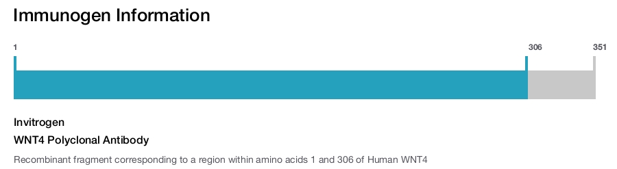 WNT4 Polyclonal Antibody