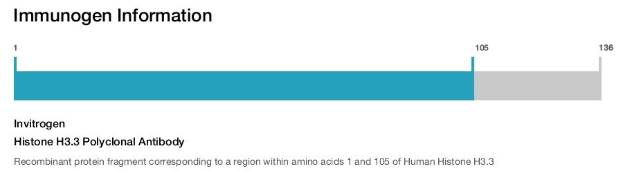 Histone H3.3 Polyclonal Antibody