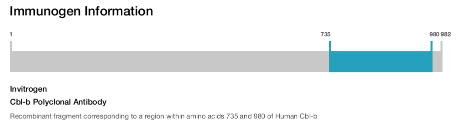 Cbl-b Polyclonal Antibody