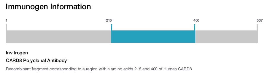 CARD8 Polyclonal Antibody