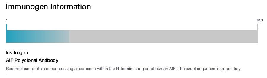 AIF Polyclonal Antibody