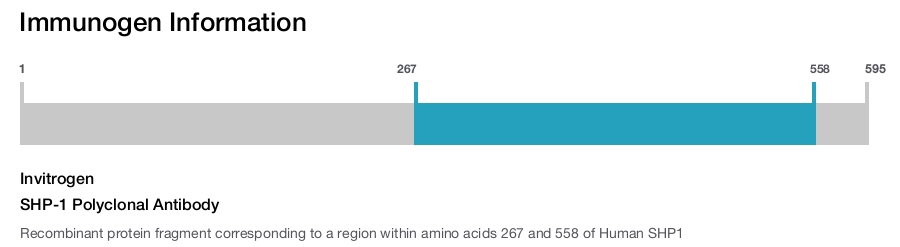 SHP-1 Polyclonal Antibody