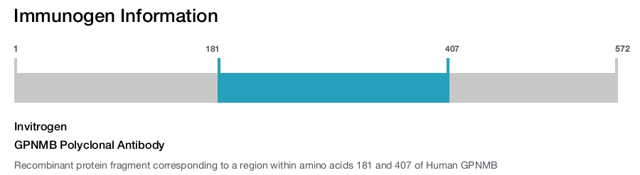 GPNMB Polyclonal Antibody