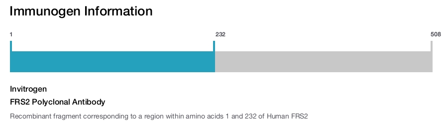 FRS2 Polyclonal Antibody