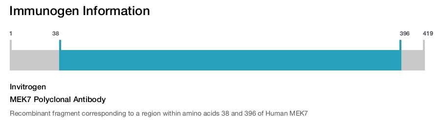 MEK7 Polyclonal Antibody