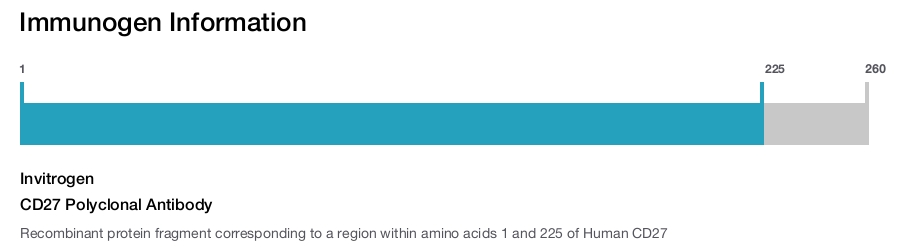 CD27 Polyclonal Antibody