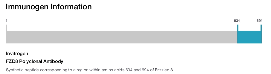FZD8 Polyclonal Antibody