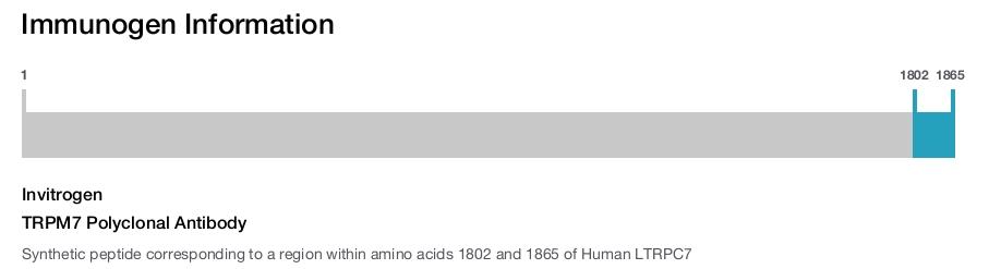 TRPM7 Polyclonal Antibody