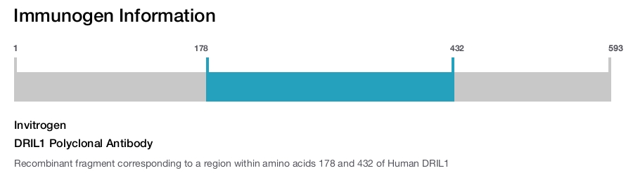 DRIL1 Polyclonal Antibody