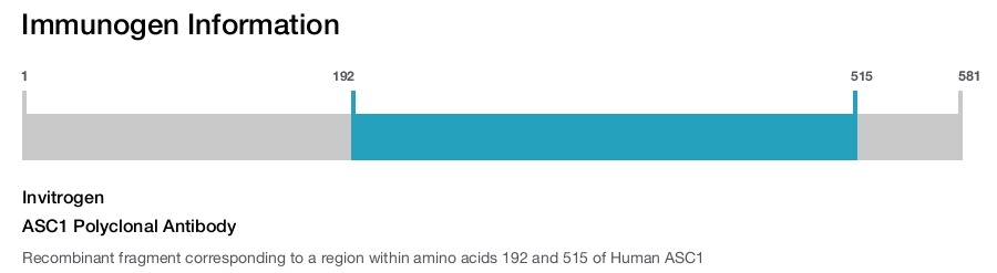 ASC1 Polyclonal Antibody
