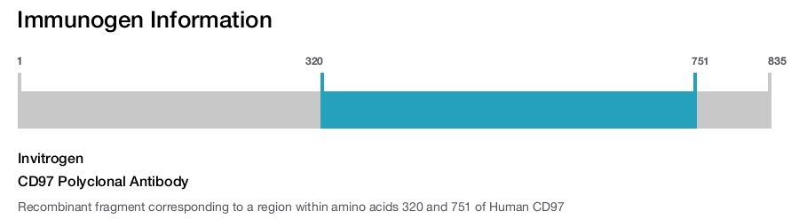 CD97 Polyclonal Antibody