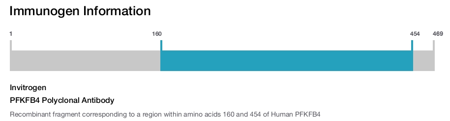 PFKFB4 Polyclonal Antibody