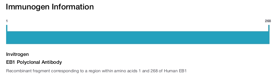 EB1 Polyclonal Antibody