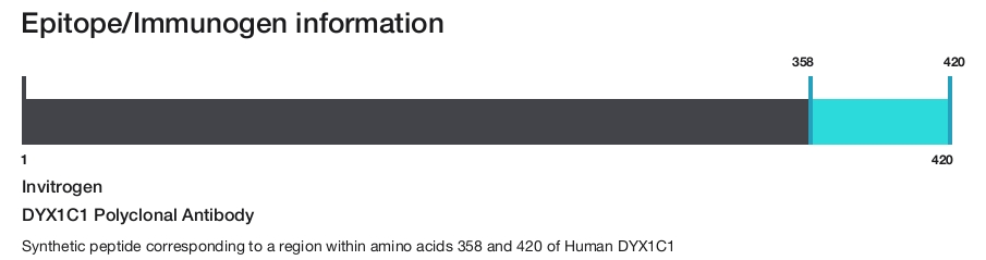 DYX1C1 Polyclonal Antibody