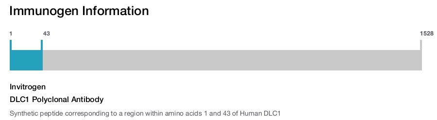 DLC1 Polyclonal Antibody
