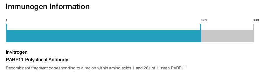 PARP11 Polyclonal Antibody