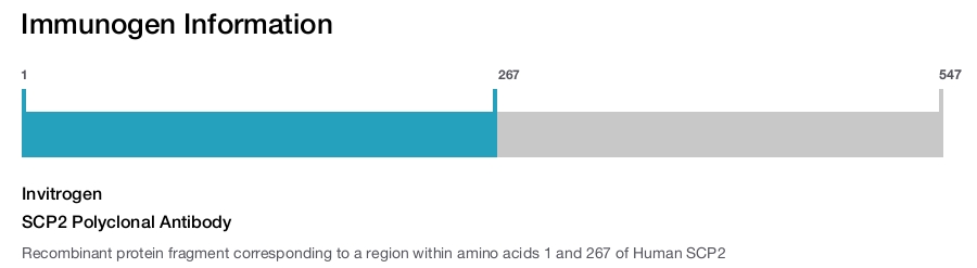 SCP2 Polyclonal Antibody