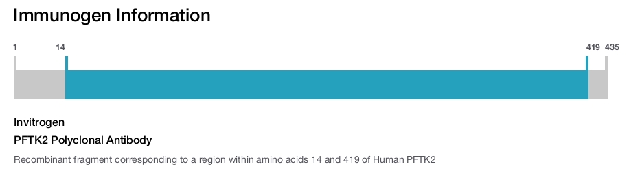 PFTK2 Polyclonal Antibody