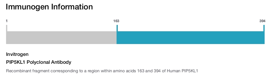 PIP5KL1 Polyclonal Antibody