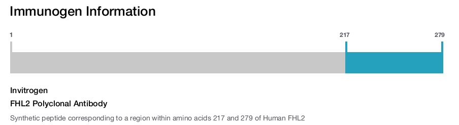 FHL2 Polyclonal Antibody