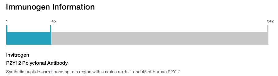 P2Y12 Polyclonal Antibody