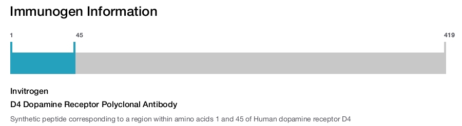 D4 Dopamine Receptor Polyclonal Antibody